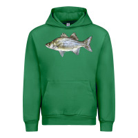 Emerald White Bass Fish Illustrations Urban Hoodie - LillyAllenDesigns