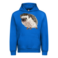 Cobalt Hedgehog Illustrations Urban Hoodie - LillyAllenDesigns