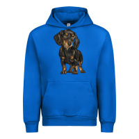 Cobalt dachshund Urban Hoodie - BarkalooDesign