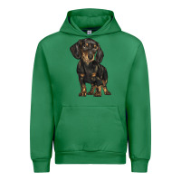 Emerald dachshund Urban Hoodie - BarkalooDesign