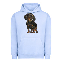 Pigment Grape Ice dachshund Urban Hoodie - BarkalooDesign