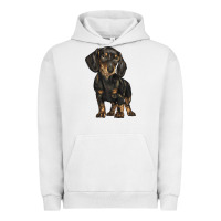 Pigment Lunar Rock dachshund Urban Hoodie - BarkalooDesign
