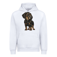 White dachshund Urban Hoodie - BarkalooDesign