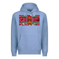 Colony Blue dachshund puppy license plate Premium Hoodie - Artiststas