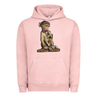 Pigment Salmon Baby Baboon Illustrations Urban Hoodie - LillyAllenDesigns