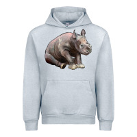 Heather Grey Baby Rhino Illustrations Urban Hoodie - LillyAllenDesigns