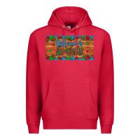 Cardinal different is au some autism awareness license plate Premium Hoodie - Artiststas