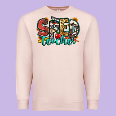 Special Education Teacher Premium Sweatshirt Designed By Zillion Design Studio