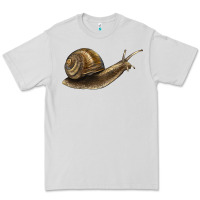 Dove Grey snail Premium Tee - LillyAllenDesigns