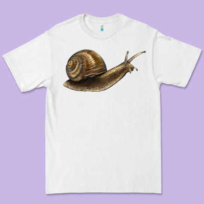 Snail Premium Tee Designed By Lillyallendesigns