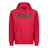 Cardinal america 4th of july Premium Hoodie - Artiststas