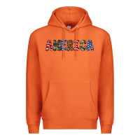 Carrot america 4th of july Premium Hoodie - Artiststas