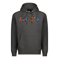 Charcoal Heather america 4th of july Premium Hoodie - Artiststas
