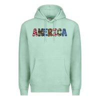 Seafoam america 4th of july Premium Hoodie - Artiststas