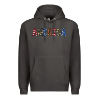 Smoke america 4th of july Premium Hoodie - Artiststas