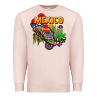 Pale Pink mexico map Premium Sweatshirt - CTS Tumbler Store