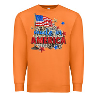 Carrot made in america Premium Sweatshirt - Zillion Design Studio