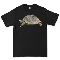 Black Tortoise Illustrations Premium Tee - LillyAllenDesigns