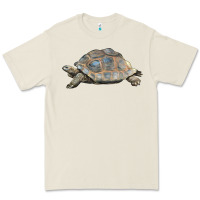 Bone Tortoise Illustrations Premium Tee - LillyAllenDesigns