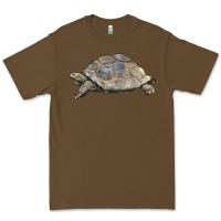 Cacao Tortoise Illustrations Premium Tee - LillyAllenDesigns