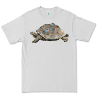 Dove Grey Tortoise Illustrations Premium Tee - LillyAllenDesigns
