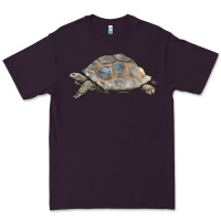 Plum Tortoise Illustrations Premium Tee - LillyAllenDesigns