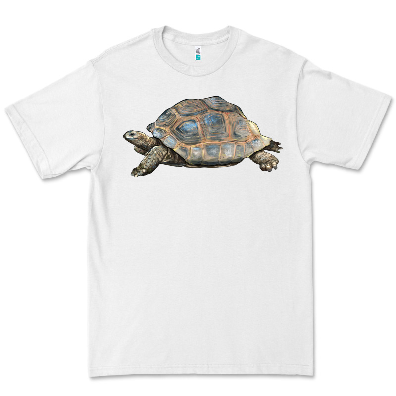 Tortoise Illustrations Premium Tee by LillyAllenDesigns | Teevron