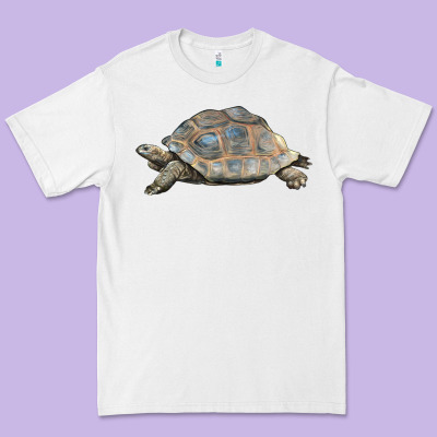 Tortoise Illustrations Premium Tee Designed By Lillyallendesigns