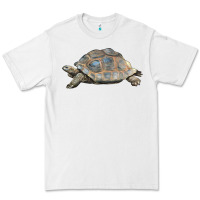 White Tortoise Illustrations Premium Tee - LillyAllenDesigns