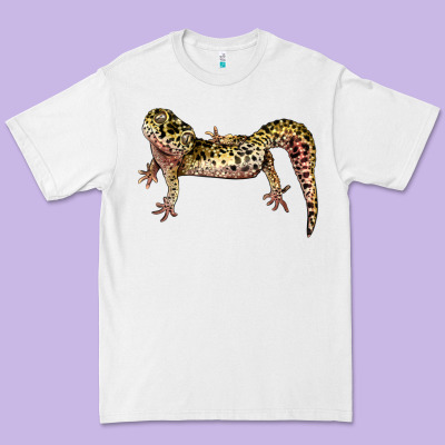 Gecko Lizard Illustrations Premium Tee Designed By Lillyallendesigns