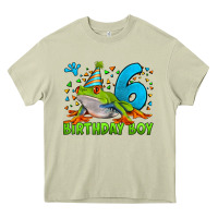 Mossy birthday boy frog age 6 Heavy Core Tee - LillyAllenDesigns