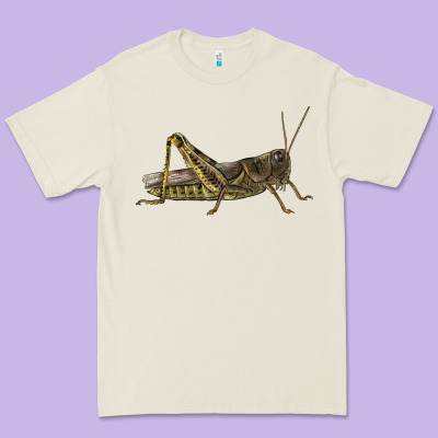 Grasshopper Premium Tee Designed By Lillyallendesigns