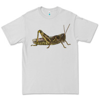 Dove Grey Grasshopper Premium Tee - LillyAllenDesigns