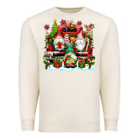 Sandshell christmas gnome truck Premium Sweatshirt - texasbilliewilder