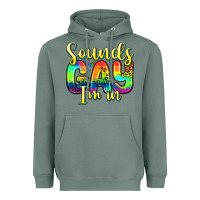 Sage sounds gay i m in Heavyweight Hoodie - Zillion Design Studio