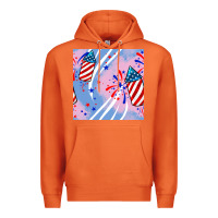 Carrot patriotic fireworks Premium Hoodie - BundleAndBundleShop