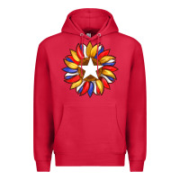 Cardinal american flag and sunflower with star Premium Hoodie - Artiststas