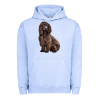 Pigment Grape Ice Boykin Spaniel Dog Urban Hoodie - LillyAllenDesigns