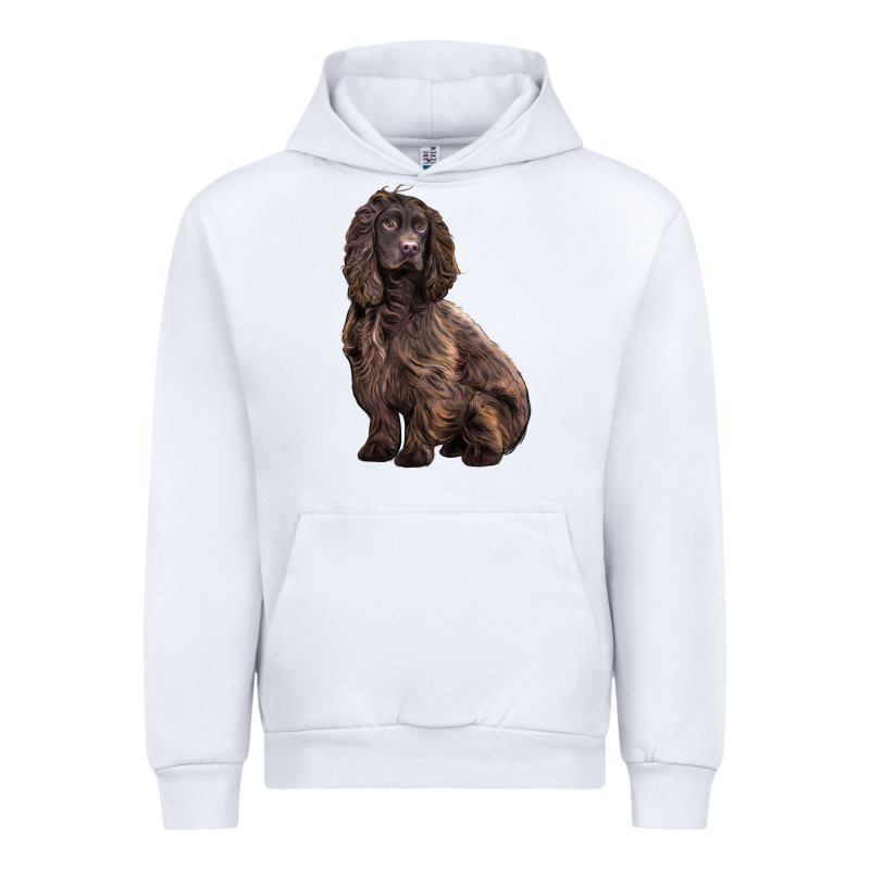 Boykin Spaniel Dog Urban Hoodie by LillyAllenDesigns | Teevron