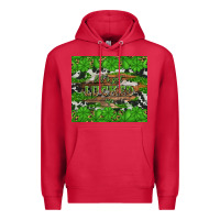 Cardinal let's get lucked up Premium Hoodie - Artiststas