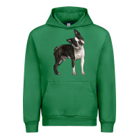 Emerald Boston Terrier Urban Hoodie - LillyAllenDesigns