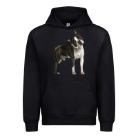 Foreset Green Boston Terrier Urban Hoodie - LillyAllenDesigns