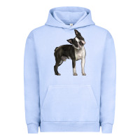 Pigment Grape Ice Boston Terrier Urban Hoodie - LillyAllenDesigns