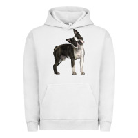 Pigment Lunar Rock Boston Terrier Urban Hoodie - LillyAllenDesigns