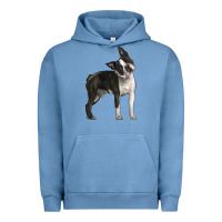Pigment Pebble Blue Boston Terrier Urban Hoodie - LillyAllenDesigns