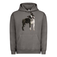 Pigment Tornado Boston Terrier Urban Hoodie - LillyAllenDesigns