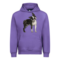 Tulip Boston Terrier Urban Hoodie - LillyAllenDesigns
