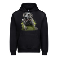 Texas Blue Lacy Dog Urban Hoodie | Teevron