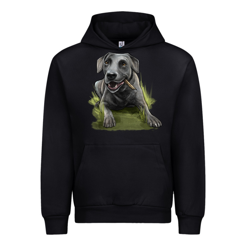 Texas Blue Lacy Dog Urban Hoodie by LillyAllenDesigns | Teevron