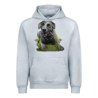 Heather Grey Texas Blue Lacy Dog Urban Hoodie - LillyAllenDesigns